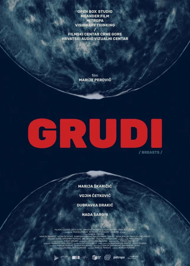 Grudi poster